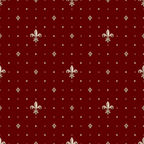 Дорожка 2455/а4/105 1м фото 1