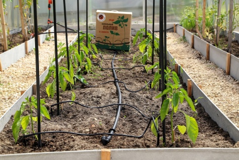 Полив Капельный Жук от водопровода на 30 растений (с таймером) фото 2