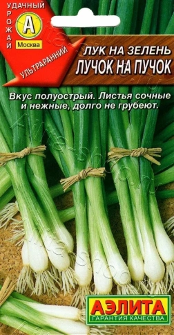 Лук на зелень Лучок на пучок 0,5г фото 1