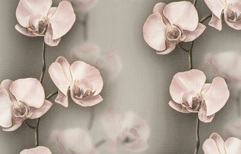 Обои Грация 03 С6 БР-ГП Брянск 0,53м фото 1