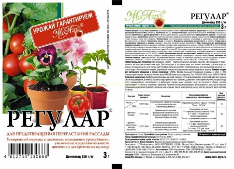 РЕГУЛАР (3гр) от перерастания рассады фото 1