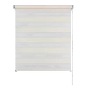 Рулонная штора День-Ночь 60х160 молочный фото 1