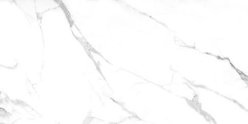 Керамический гранит AZARIO JAVIER SATVARIO 60х120 Glossy F4110821123G (2шт/1,44м2) фото 1