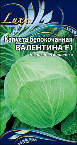 Капуста Валентина F1 10сем фото 2