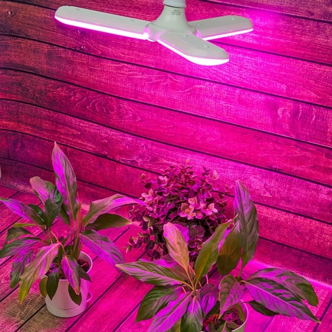 Uniel Лампа св/д для рассады и растений LED-P65-24W/SPSB/E27/FR/P3 фото 1