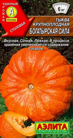 Тыква Богатырская сила 1г фото 1