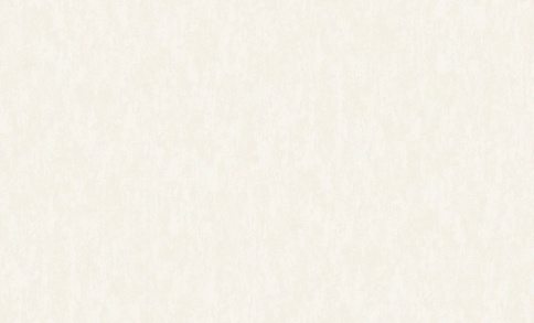 *Обои NEW AGe 8894-12 10м*1,06 фото 1