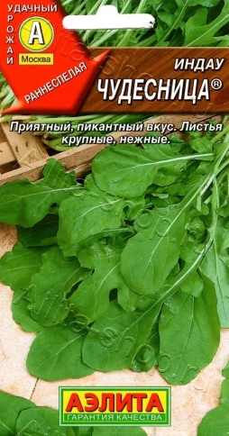 Салат Рукола Чудесница 0,3г Ц/П фото 1