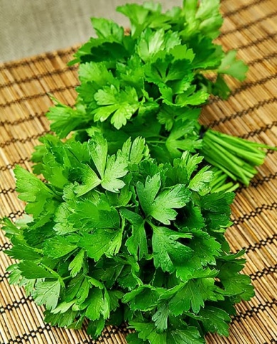 Петрушка листовая Бутербродная (2г)  фото 1