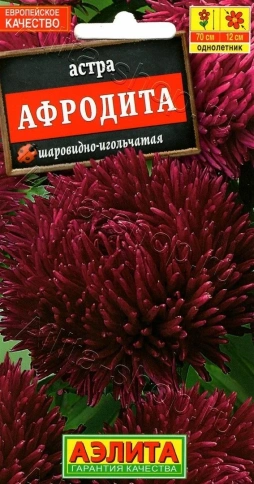 Астра Афродита (0,1г) фото 1