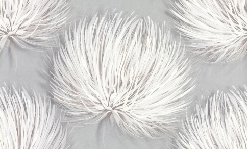 *Обои 75173-42 1.06*10 Wall Decor Россия фото 1