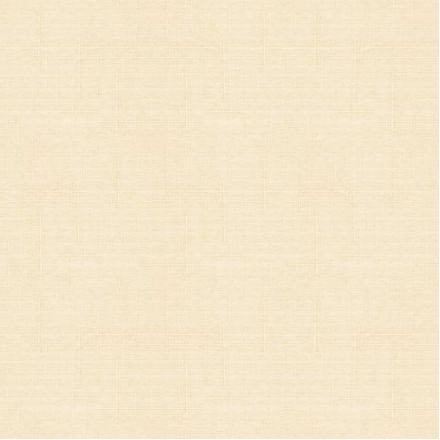 Рулонные шторы, ТЭФИ 02, 170*180 фото 1