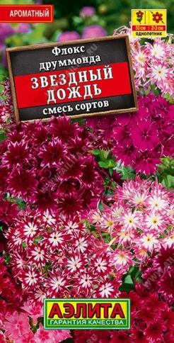 Флокс , Звездный дождь (0,2гр)Ц фото 1