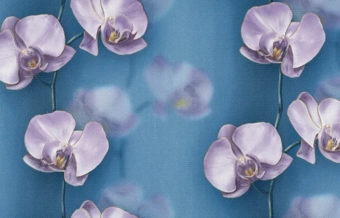 Обои Грация 01 С6 БР-ГП Брянск 0,53м фото 1