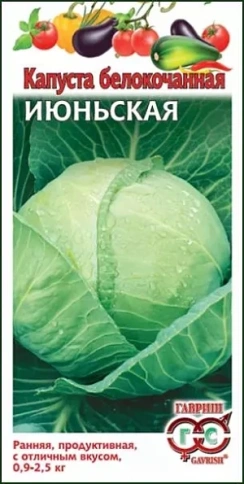 Капуста Июньская (0,1г)  ран. фото 1