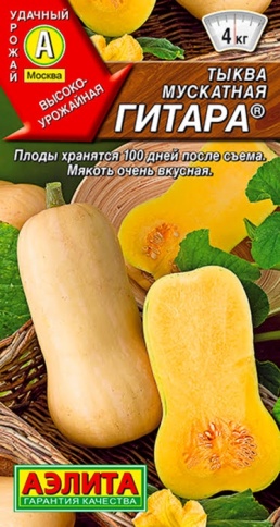 Тыква Гитара мускатная (1г) фото 1