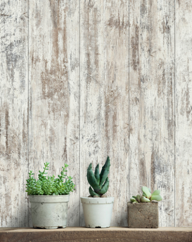 Панель МДФ Classic STELLA Standart Сосна Риольто 2700х200х6 (8) фото 1