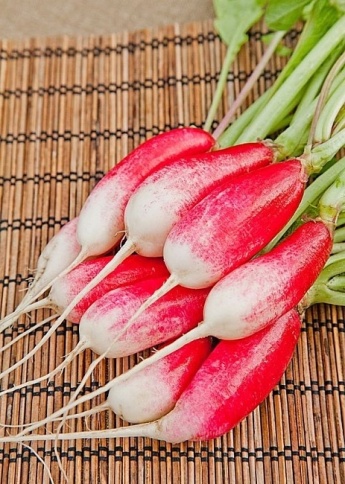 Редис 18 дней (3г) б/п евроотв фото 1