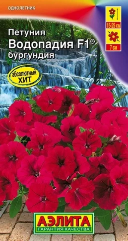 Петуния ВОДОПАДИЯ F1 бургундия (7сем) фото 1