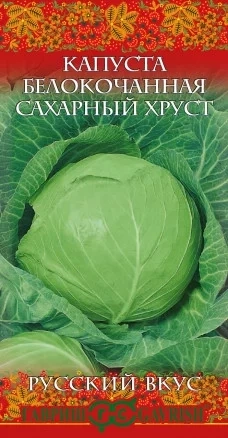 Капуста Сахарный хруст  ранняя (0,5г) фото 1