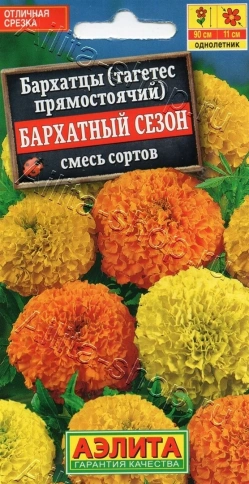 Бархатцы Бархатный сезон 0,1г  фото 1