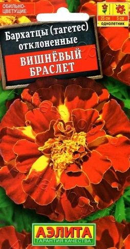 Бархатцы Вишневый браслет откл (0,3г) фото 1