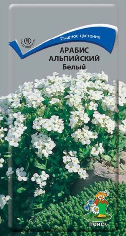 Анютины глазки Арабис Альпийский белый 0,1г фото 1