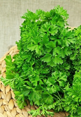 Петрушка кудрявая Мооскраузе (2г) Б(Г) фото 1