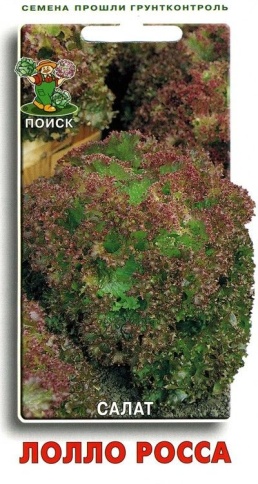 Салат Лолло Росса, листовой (1г) Б фото 1