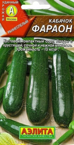 Кабачок цук. Фараон 2г фото 1
