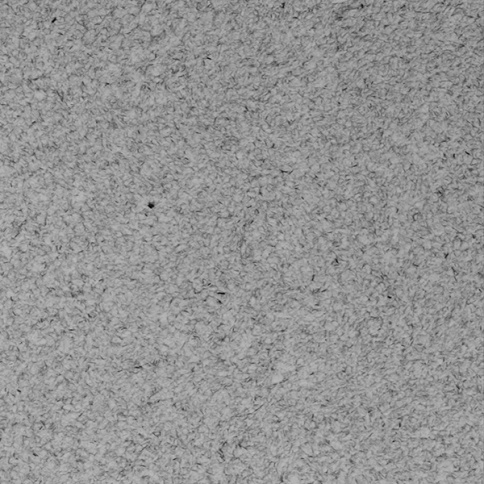 Декоративная штукатурка Мастер Силк 125 фото 1