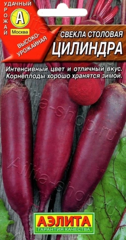 Свекла Цилиндра (3г) Ц фото 1