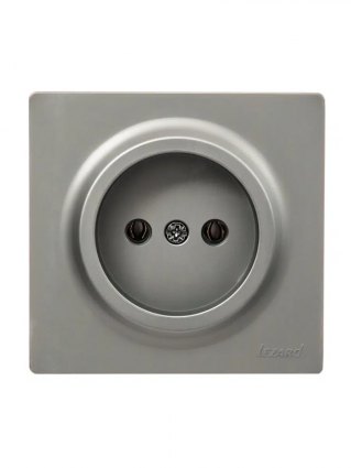 Lezard Розетка o/у 1гн. б/з платина  LETO 752-3500-121В фото 1