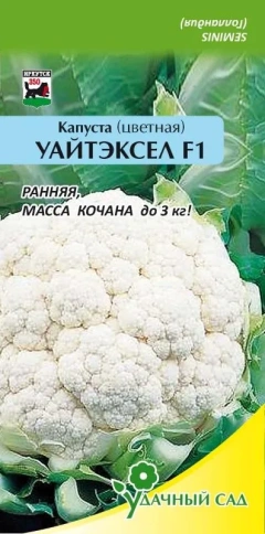 Капуста цв. Уайтэксел F1 10сем фото 1